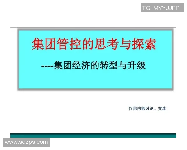 本土拓展与中央脉搏的协同发展探讨与思考