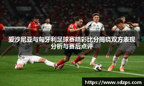 vsport体育手机下载